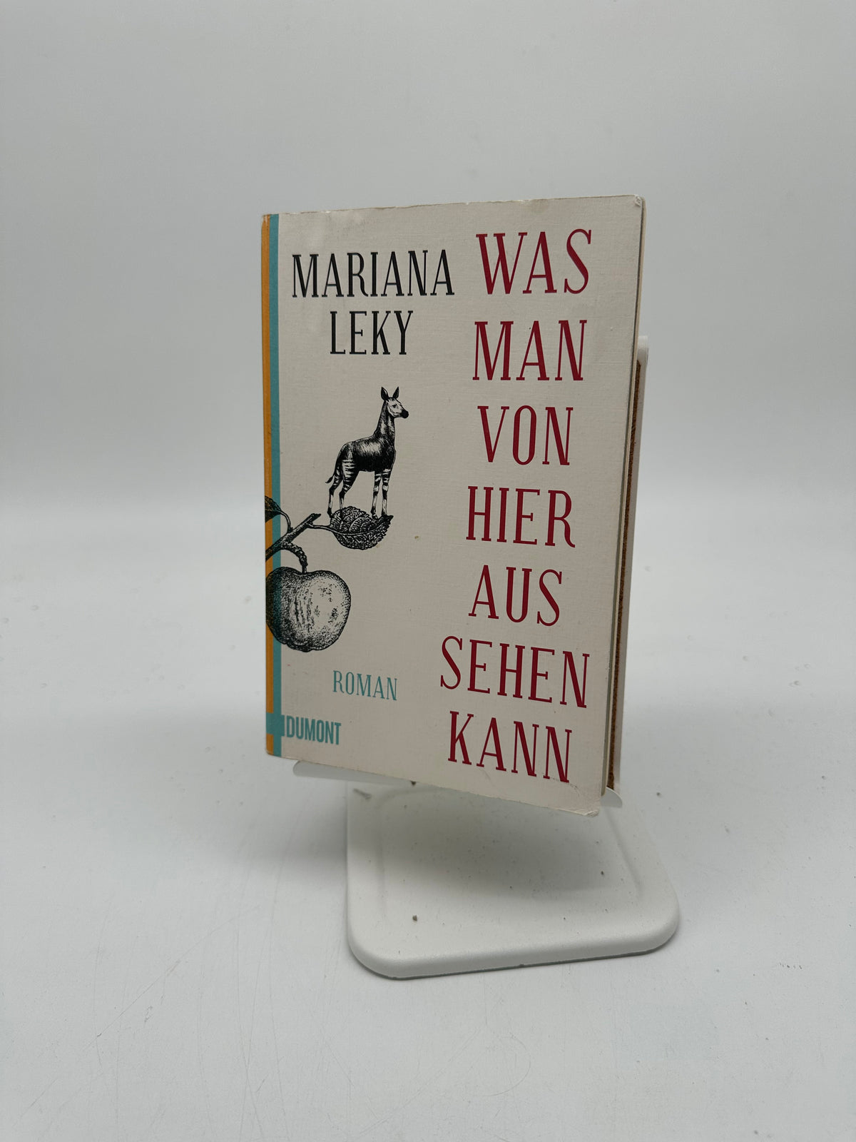 📚 Was man von hier aus sehen kann: Roman