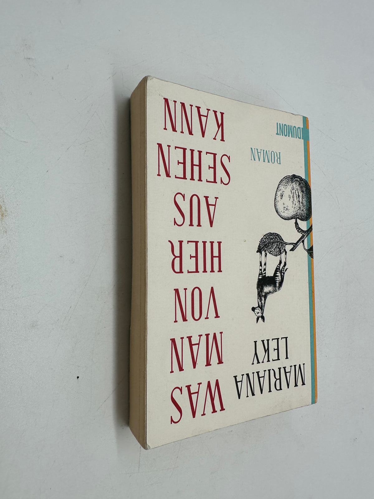 📚 Was man von hier aus sehen kann: Roman