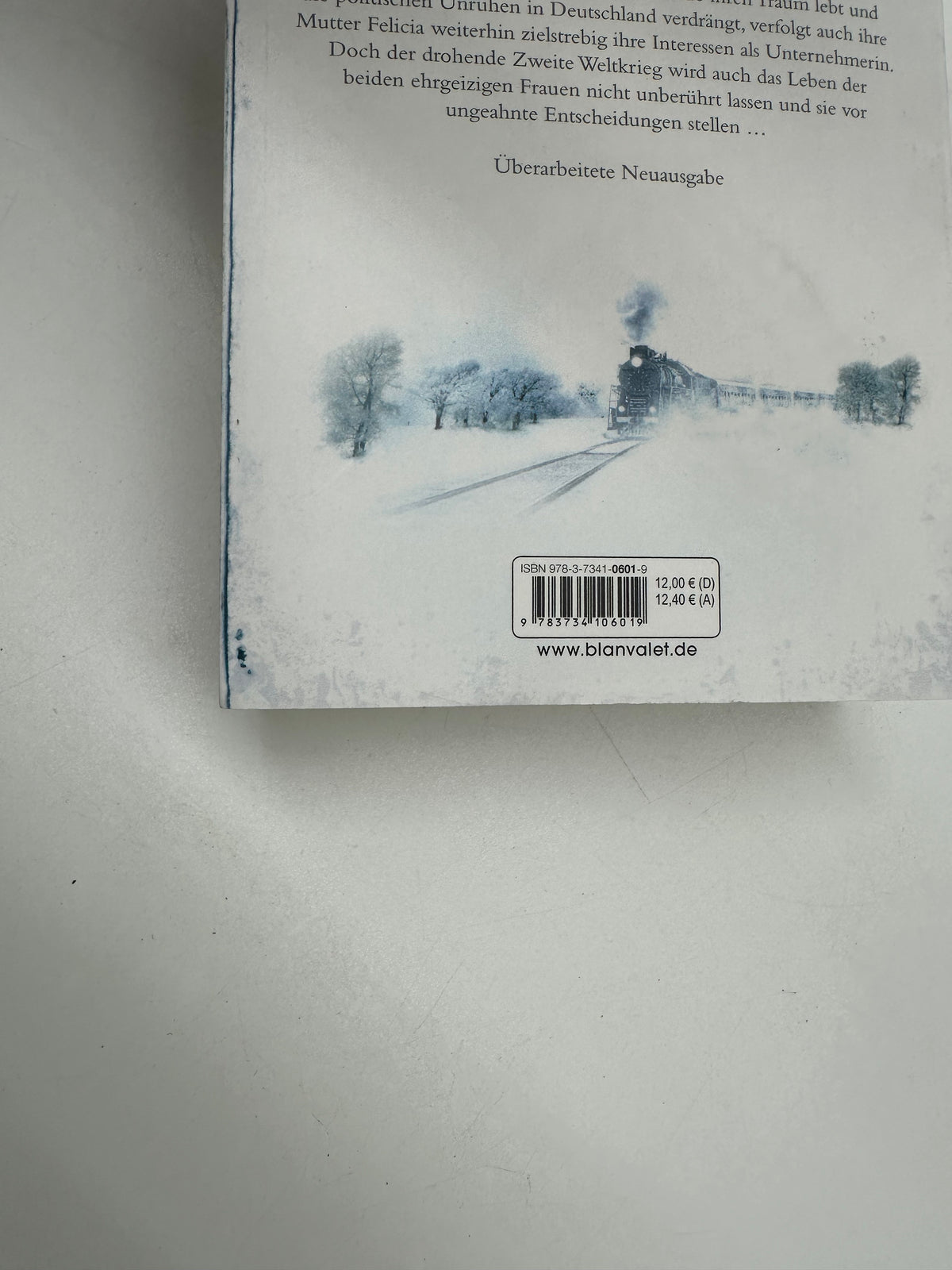 📖 Sturmzeit – Wilde Lupinen (Band 2)