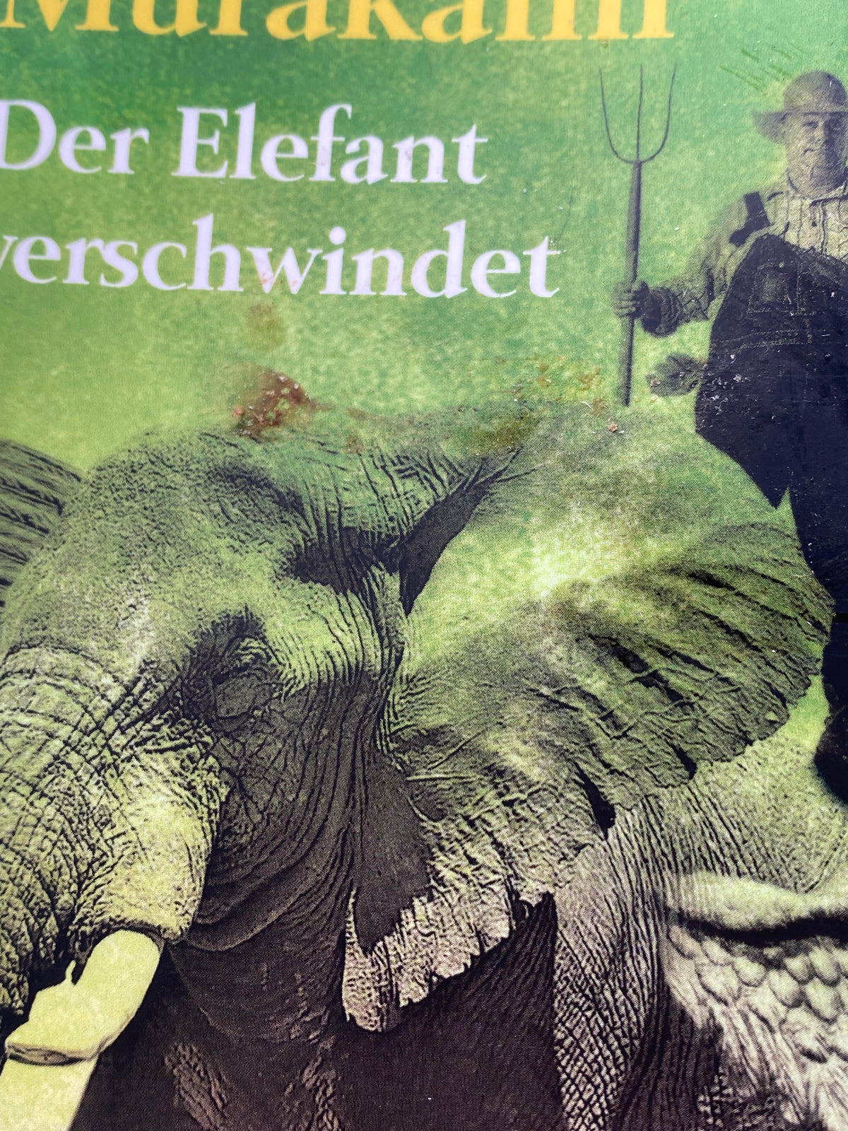 📚 Der Elefant verschwindet