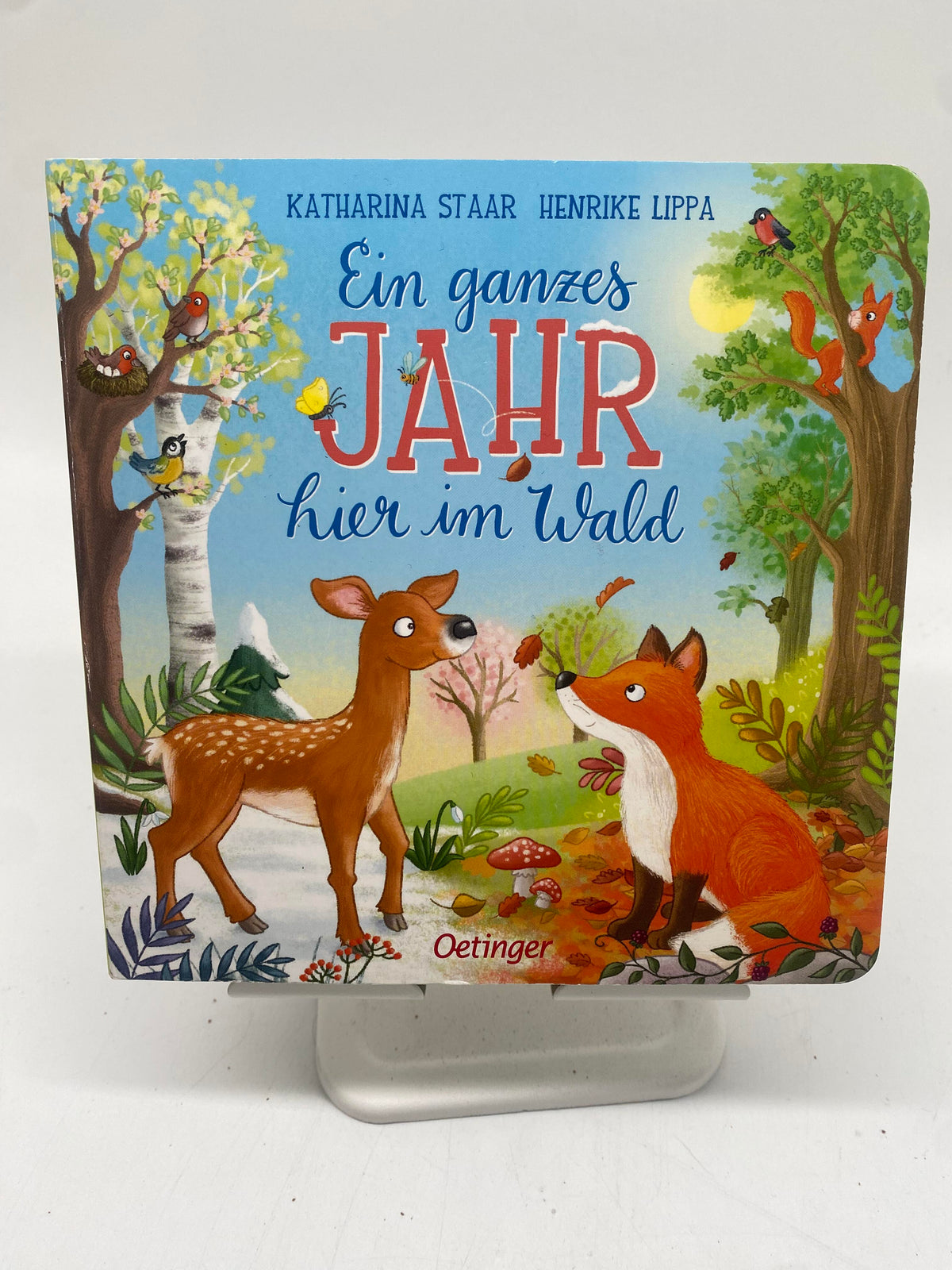 📚 Ein ganzes Jahr hier im Wald