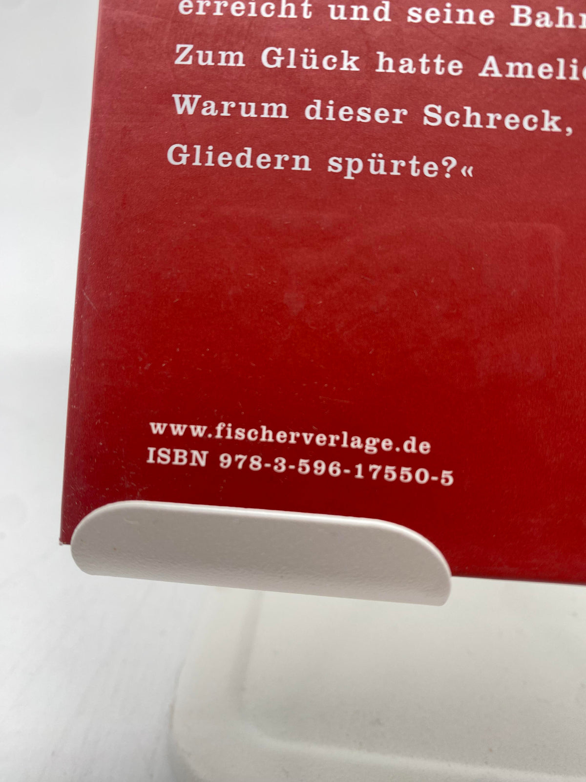 📚 Eine blaßblaue Frauenschrift