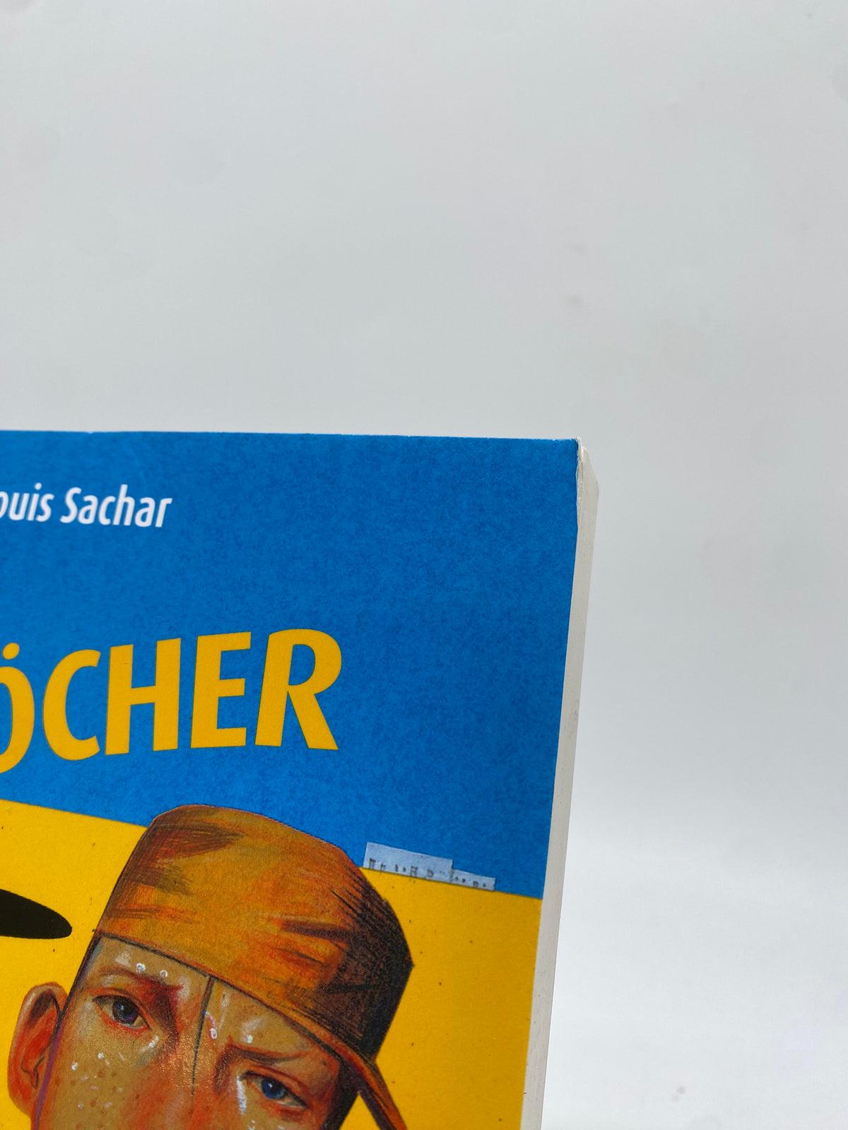 📚 Löcher - Die Geheimnisse von Green Lake