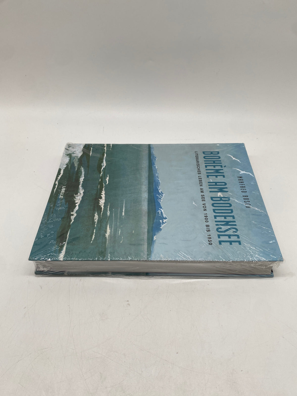 📚 Bohème am Bodensee – Literarisches Leben von 1900-1950