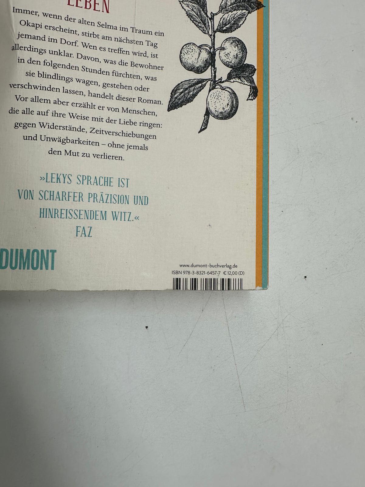 📚 Was man von hier aus sehen kann: Roman