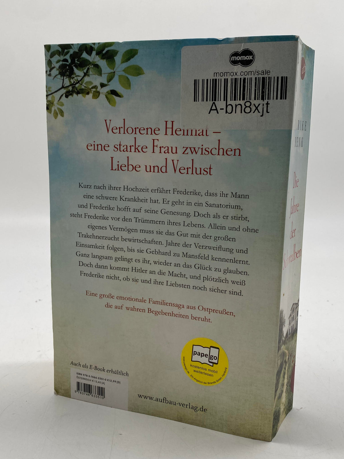 📚 Die Jahre der Schwalben