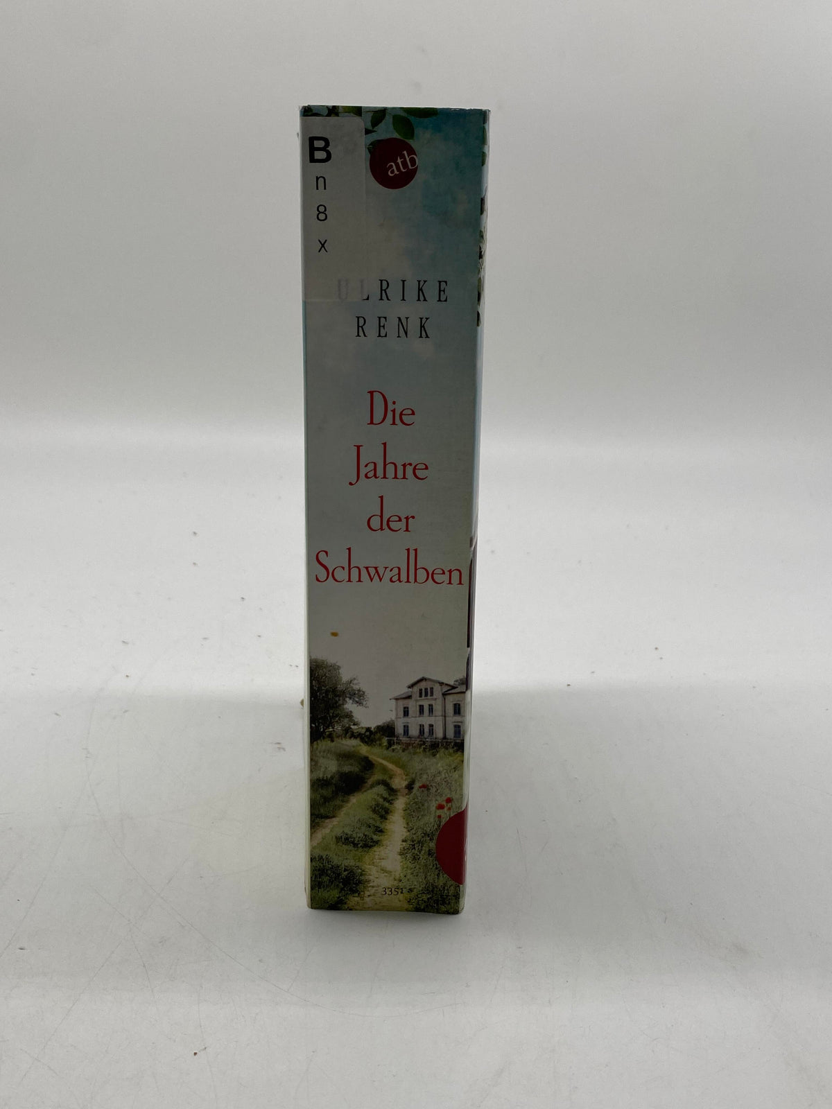 📚 Die Jahre der Schwalben