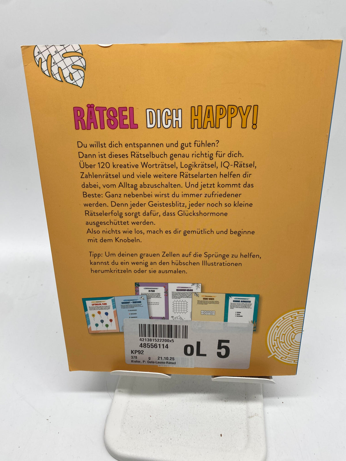 🧩 Gute-Laune-Rätsel – Logik & IQ Rätselbuch von Philip Kiefer
