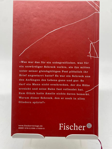 📚 Eine blaßblaue Frauenschrift