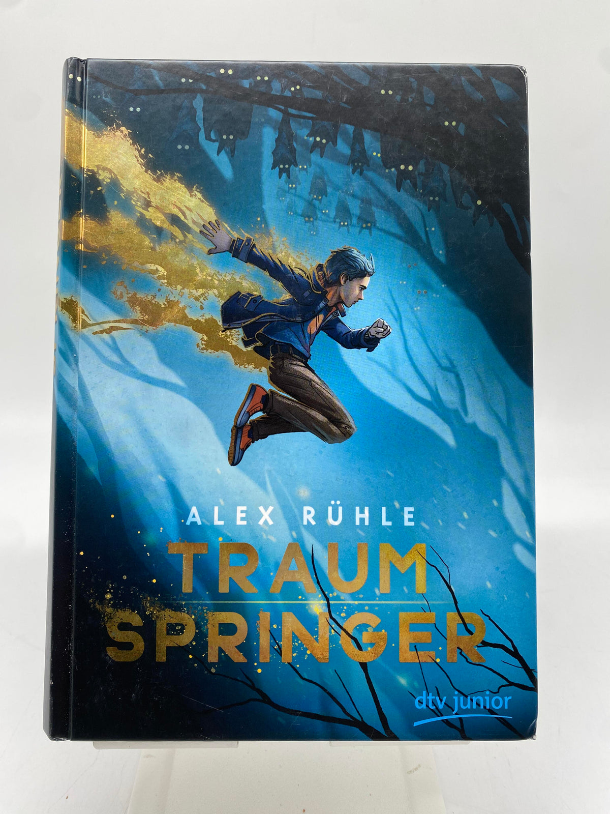 📚 Traumspringer Fantasievolle - Abenteuergeschichte ab 10