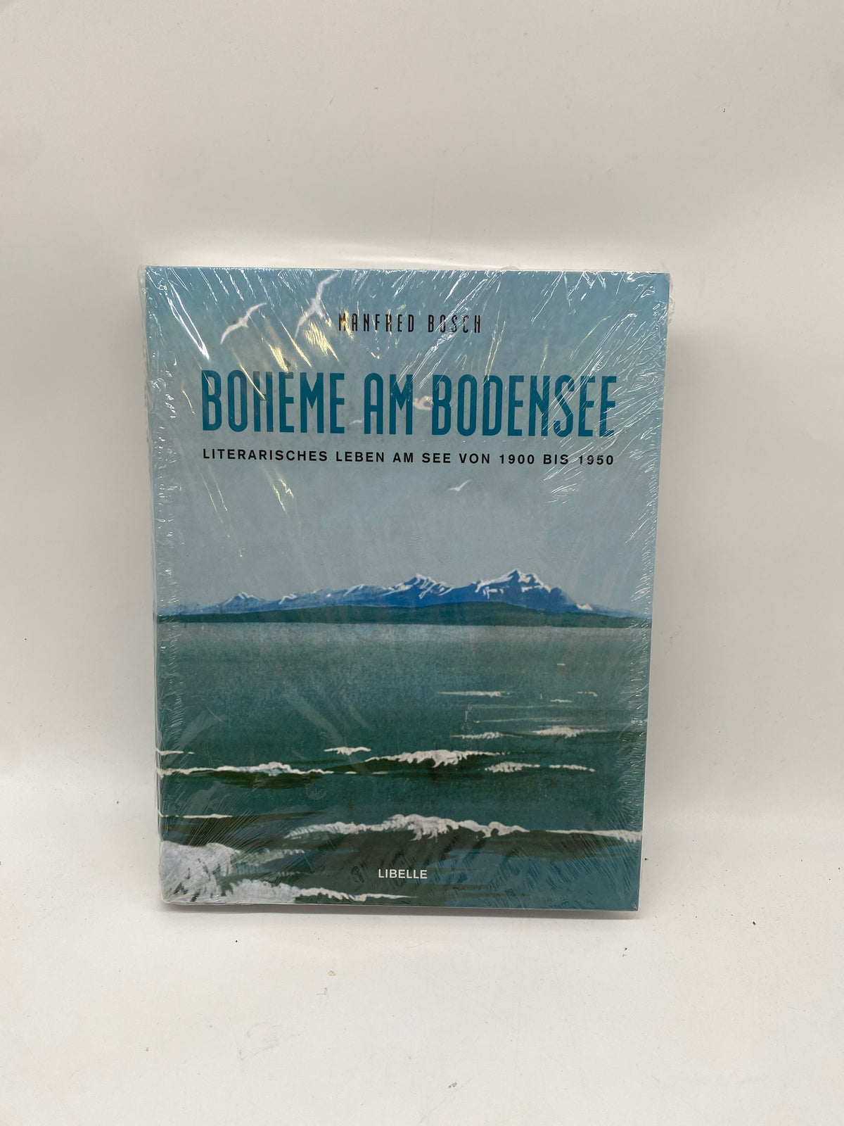 📚 Bohème am Bodensee – Literarisches Leben von 1900-1950